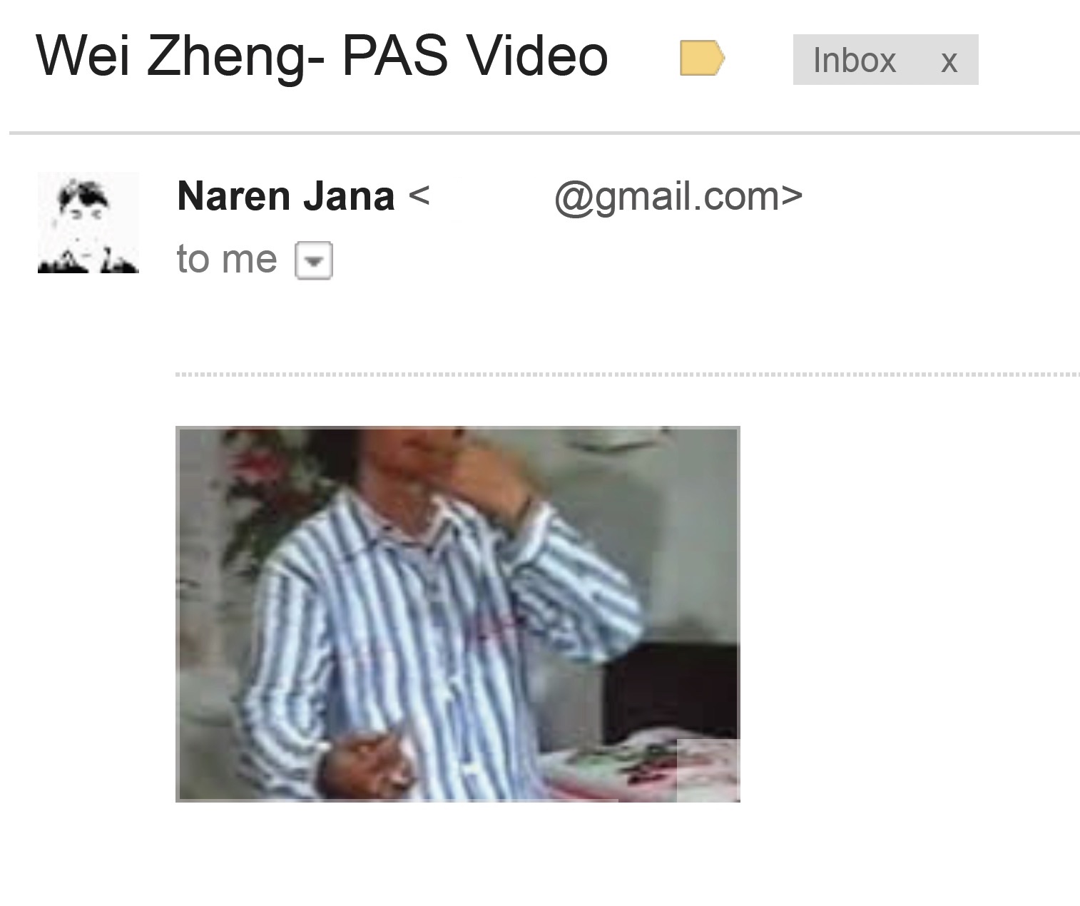 Screen Capture of Zheng Video